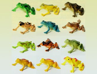 Лягушка разноцветная