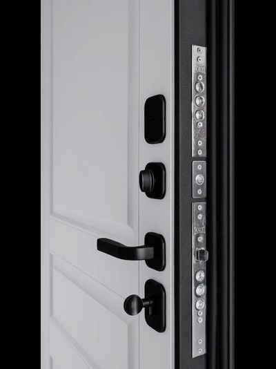 Дверь ДК21 Риками 757