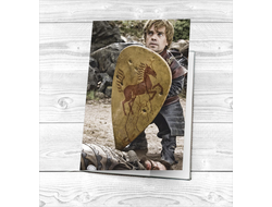 Обложка на паспорт Игра Престолов №3