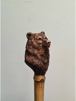 Бурый медведь