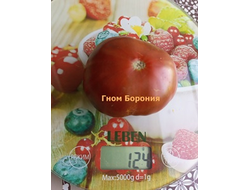 Томат Борония (Boronia) США