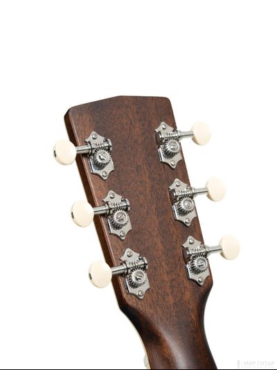Cort Exotic-GA-Walnut-SS