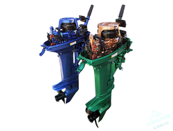 Лодочный мотор ALLFA CG T9.9(20)MAX FWS Лимит серия