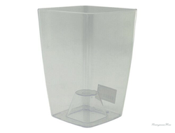 Орхидея Сильвия 1,9л в18 д12 прозрачный (Ливингрин)