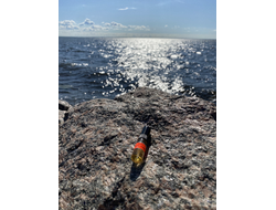 Духи НОТА: ДИКОЕ ПЛЕМЯ 3,5 мл