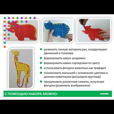 Шнуровки «Дикие животные». Набор