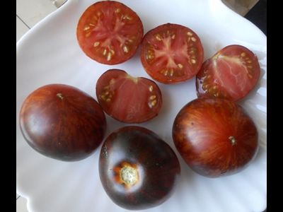 Томат Королева ночи (Koenigin der Nacht)