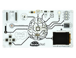 BrainPad