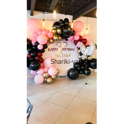 Круглая фотозона из шаров в стиле Гарри Поттер на день рождения (сова)