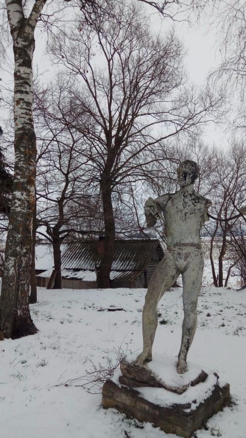 Удаление ивы у бани в д.Завал Новгородского района
