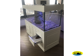 Пресноводный аквариум на просвет