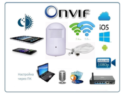 DE/GS-PRTFCMWAR(88) Видеоняня/Охранная IP WiFi (2,4/5,8)LAN видеокамера с ночным видением и аудиоканалом (корпус ИК датчика), встроенный DVR. Full HD (CamHi/CamHi Pro)