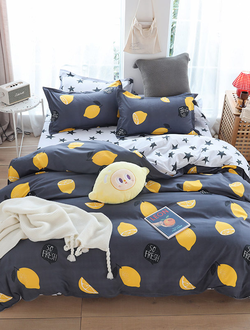 Постельное белье 2 спальное TANGO Dream Fly микросатин 180x210x1 220x245x1 70x70x2 DF02-83-70