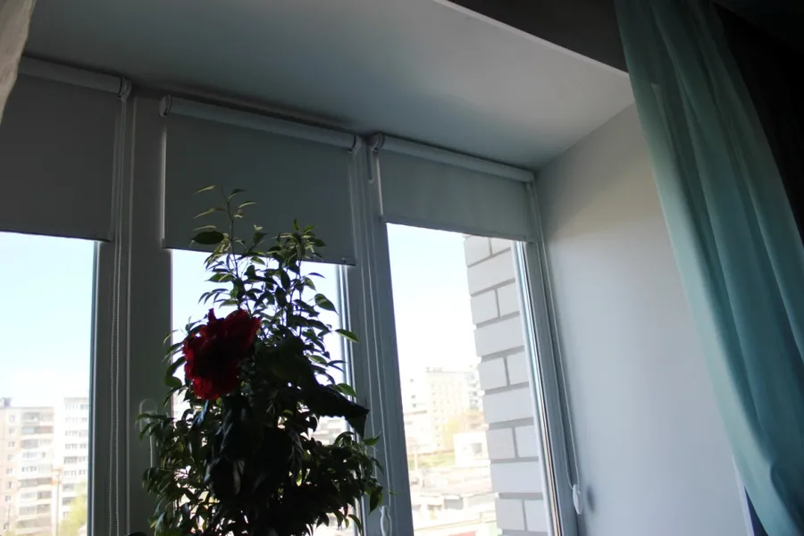 рулонные шторы мини