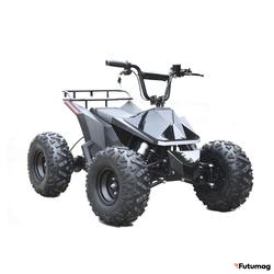 Электроквадроцикл Skyboard CyberTruck Karelia 1800W