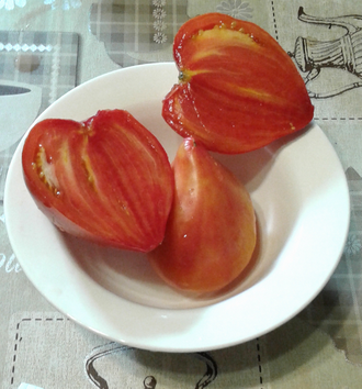 Семена томата Полуночное солнце