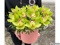 Коробка из орхидеи «Amsty» фото1