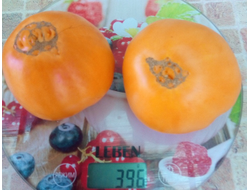 Томат Верна оранжевая