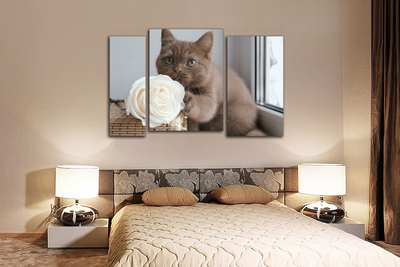 Модульная картина "Кот с розой"