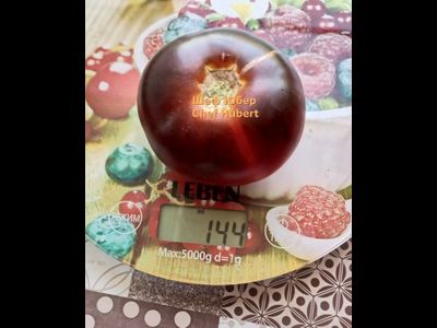 Томат Шеф Юбер (Chef Hubert)