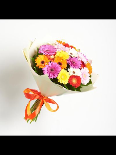 21 мини гербера