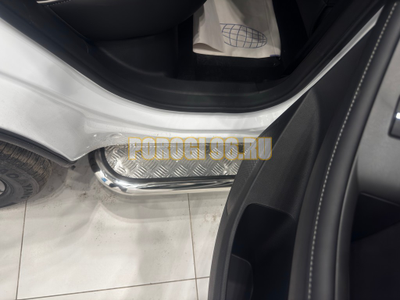 Пороги с накладным листом Папа Тюнинг d53 для JAECOO J6 2026-