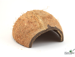 FF Cocos Cava 1/2 - Укрытие декоративное из кожуры кокоса (половинка)