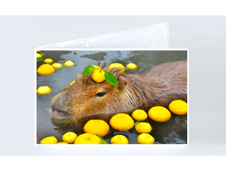 Обложка на зачетную книжку Капибара, Kapibara-san №2