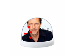 Водяной шар Доктор Хаус №15