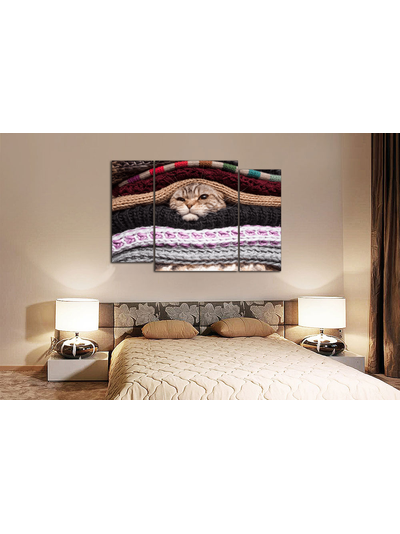 Модульная картина "Кот в тепле"