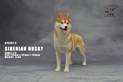 Сибирская хаски (рыжая) - Коллекционная ФИГУРКА 1/6 scale Husky (QYC003B) - QuanYingCun