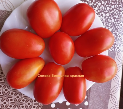 Томат Сливка Бендрика красная