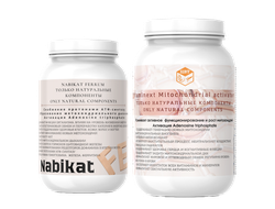 Митохондриальный комплекс