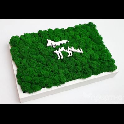 ЖИВАЯ ЭКО-КАРТИНА 1036