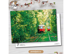 Трамвайные истории