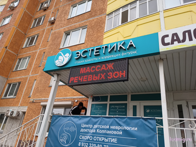 Бегущая строка 53*165см