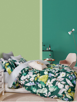 Постельное белье TANGO Twill комплект сатин евро 200x220x1 230x250x1 50x70x2 TPIG3-1825