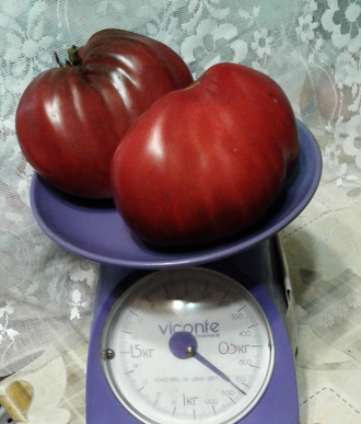 Семена томата Пурпурное сердце Гном