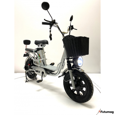 Электровелосипед GreenCamel Транк Монстр PRO (R16FAT 800W 60V20Ah) гидравл. тормоз