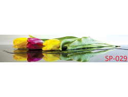 SP-029ТЮЛЬПАНЫ Глянцевая стеновая панель ALBICO 2800*610*6мм