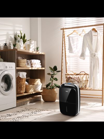 Осушитель воздуха Ballu BD30MN BLACK