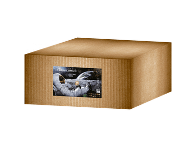 Фейерверк PRO109-1(A) РУССКИЕ ОГНИ