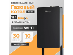 Газовый настенный котел E8 tempo GJB36WC