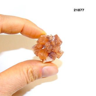 Арагонит натуральный (кристалл) арт.21877: 12,2г - 26*23*19мм