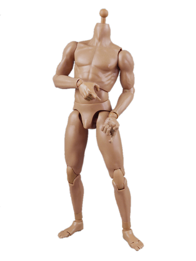 Тело мускулистое с шеей 1/6 - NEW:2.0 Body NO: BD003 - COOMODEL