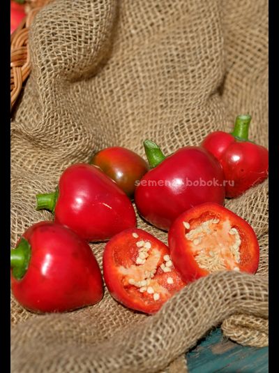 Перец сладкий Маусики, 10 шт