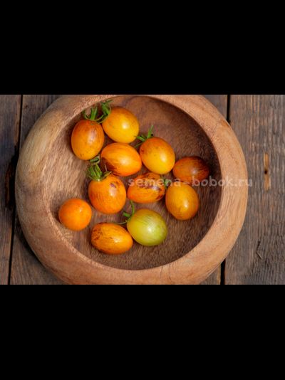 Томат Atomic Sunset (Атомный Закат), 10 шт