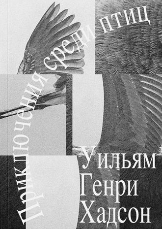 Приключения среди птиц. Уильям Генри Хадсон