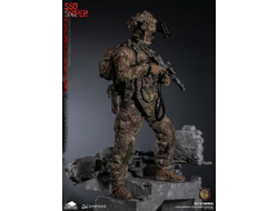 ПРЕДЗАКАЗ - Снайпер Сил Специальных Операций (ССО РФ) - Коллекционная ФИГУРКА 1/6 SPECIAL OPERATIONS FORCES OF RUSSIA (SSO) SNIPER (78108) - DAMTOYS х ARS ARMA?ЦЕНА: 33500 РУБ.?