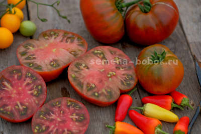 Томат Dwarf Mulatte (Гном Мулатка), 10 шт